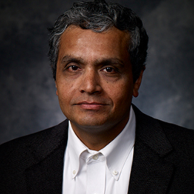 Professor Vijay Mookerjee