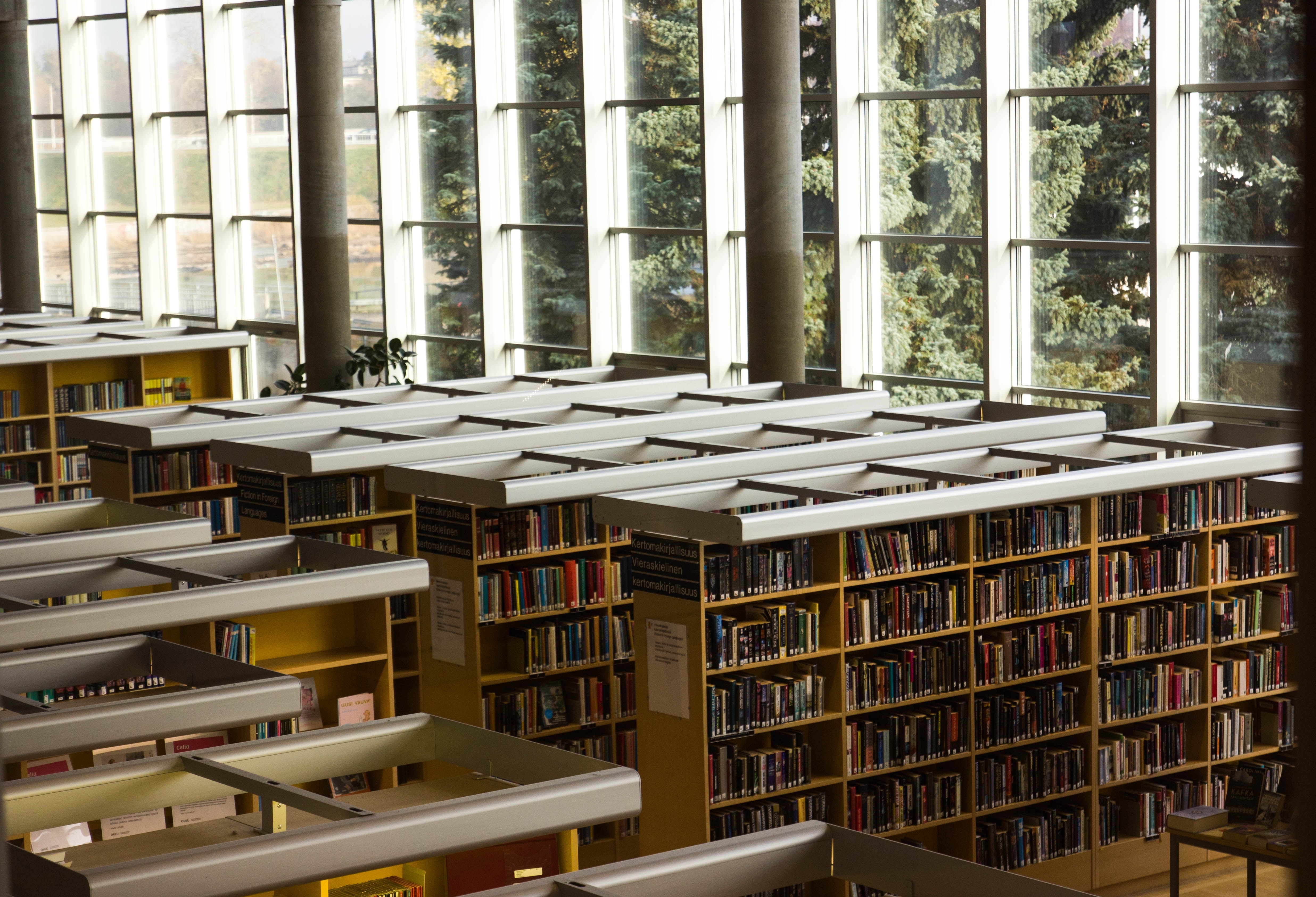 library bookshelves full of books