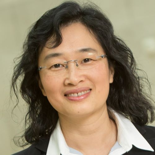 Professor Lingxiu Dong Washington University in St. Louis dong@wustl.edu